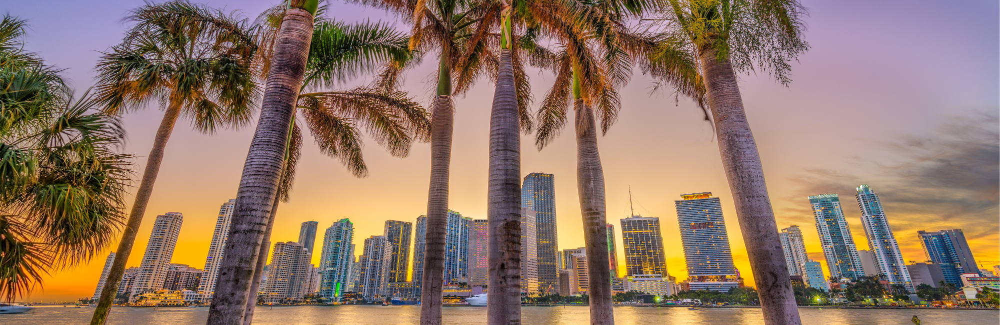 Florida é o estado número 1 em força econômica | O que isso significa para investidores do visto E2